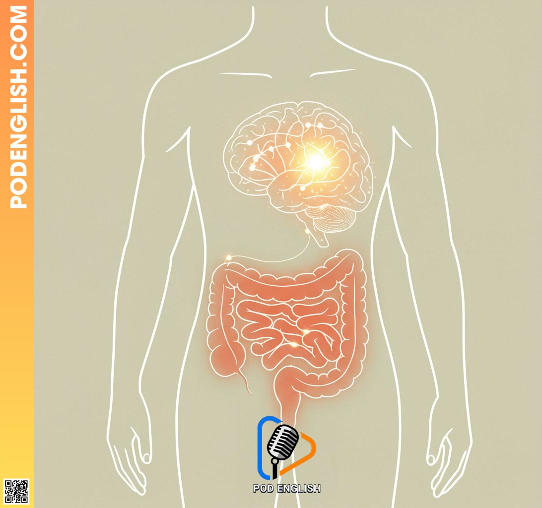 Specific Cognitive Benefits for English Learning: Focus and Retention
