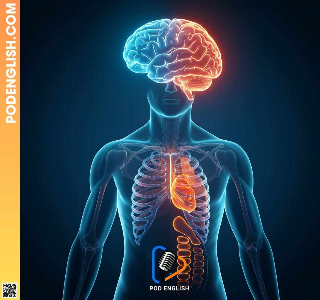 Understanding the Mind-Body Connection in English Learning